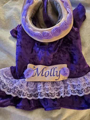 purple dress with pet's name