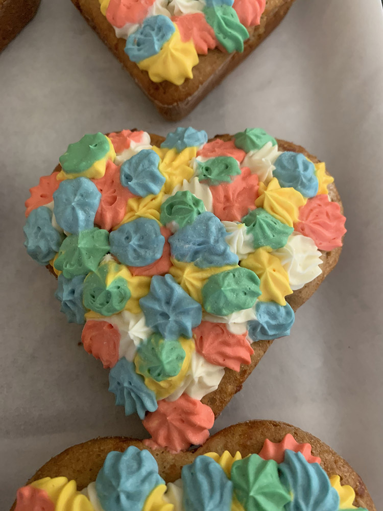 colorful heart shaped cake for pets