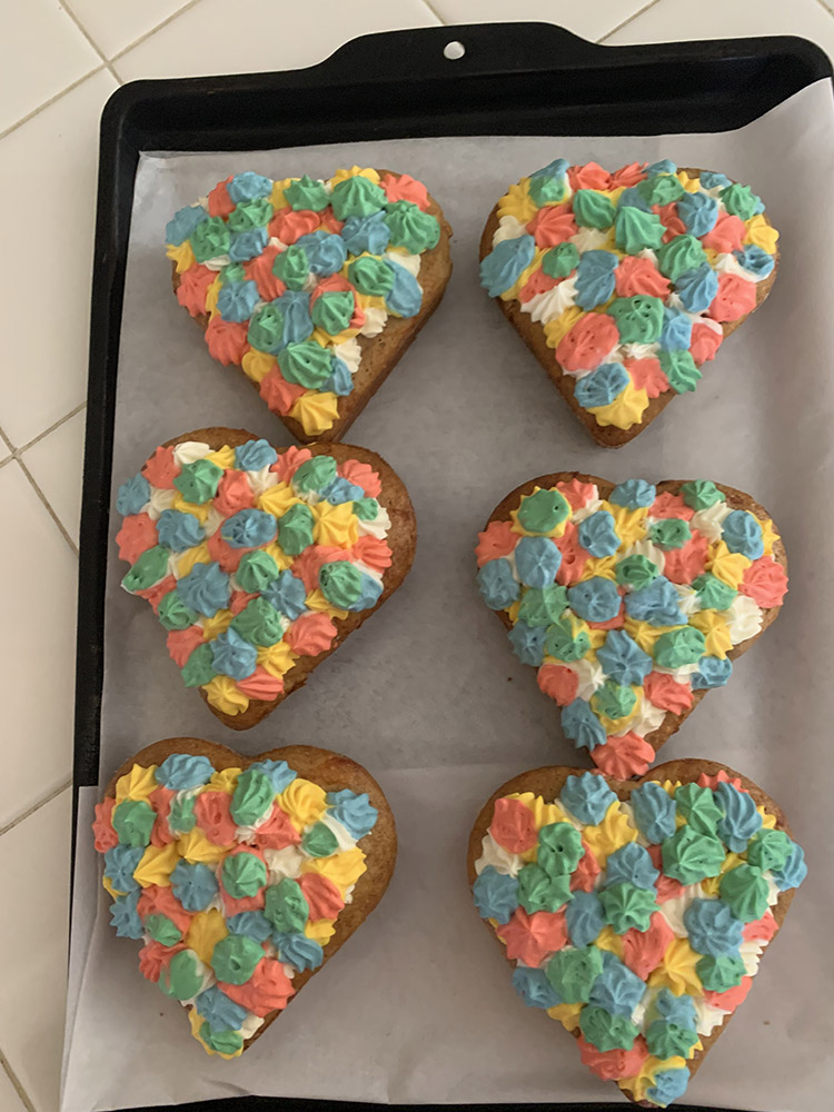 colorful heart shaped cake for pets